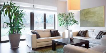 Consejos de Feng shui para renovar las energías del hogar 