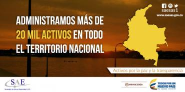 ¿Cómo realizar una subasta con la Sociedad de Activos Especiales? 
