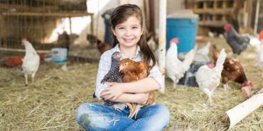 ¿Te atreves? Así puedes ser hogar de paso de vacas, caballos, ovejas o cerdos