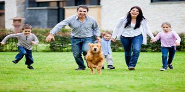Cali un lugar ideal para invertir y crecer