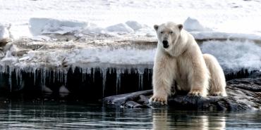 ¿Cómo combatir el cambio climático desde tu hogar?