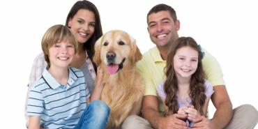 La vivienda ideal para su mascota