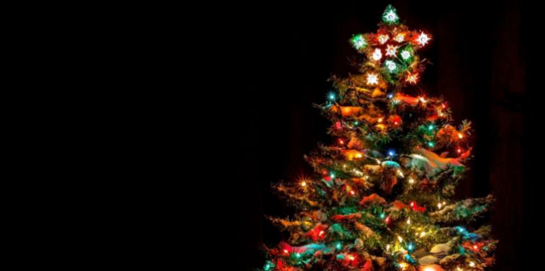 Conoce los árboles de navidad de los famosos