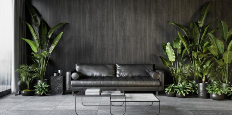 ¿Te atreves? Conoce la nueva tendencia de decoración con plantas